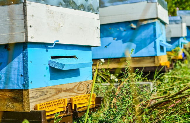 Zornitza Family Estate Relais & Chateaux - Photo 59