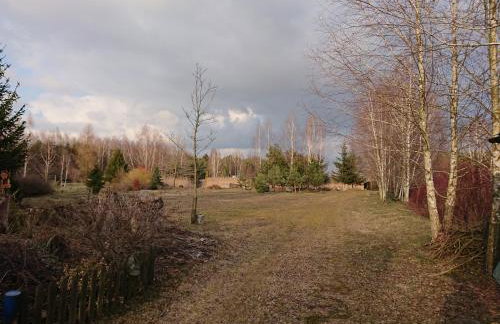 Małe Mazury- domek z łowiskiem - Photo 51