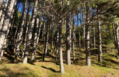 La casa nel bosco-Val Granara guesthouse - Foto 56