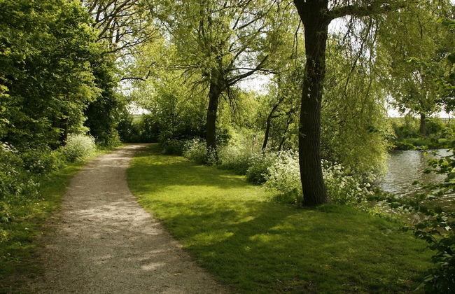Beautiful Bungalow Near Alkmaar - Photo 23