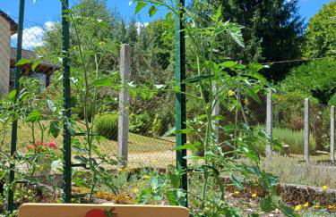 La maison des doux souvenirs - Foto 31