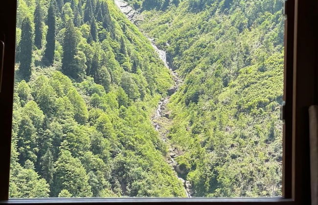 Ayder Yardımcı Apart - Foto 10