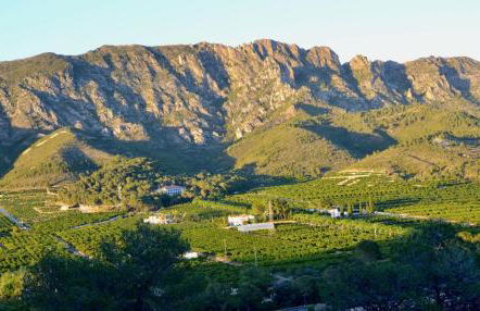 La Isla del Júcar - Foto 43