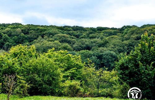 Chalet 26 Le Berthevin, Camping de Coupeau, 4 personnes - Photo 6