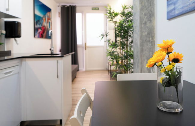 Oshun Plaza Castilla - Foto 53