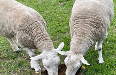 Another Place - Foto 14