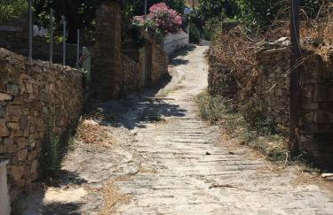 Papous house - Foto 8