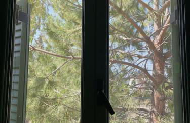 La nymphe Aegina - Foto 20