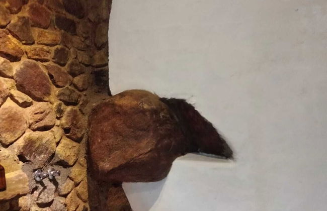 Ella Retreat Hotel - Photo 47