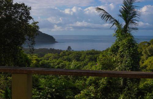 Vista espetacular, no meio da mata, com conforto - Foto 56