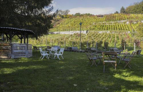 Ferienwohnung Weingut Winzerbar - Foto 10