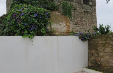 Casa do Castelo - Foto 44