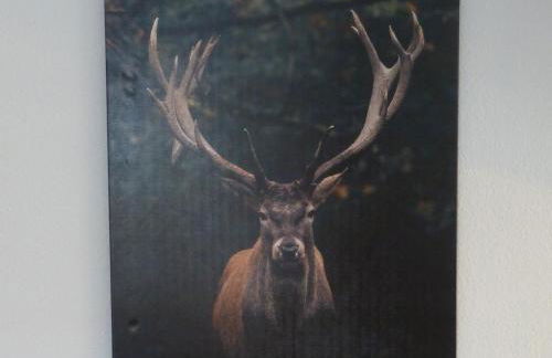 Ferienwohnung Heidestern - Foto 15