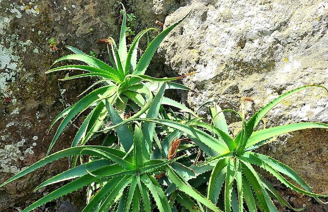 Etna Panoramic Villa With Swimming Pool - Foto 56