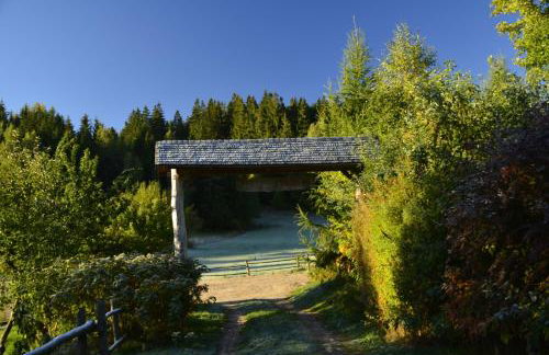 Cisowe Wzgórze - Foto 5