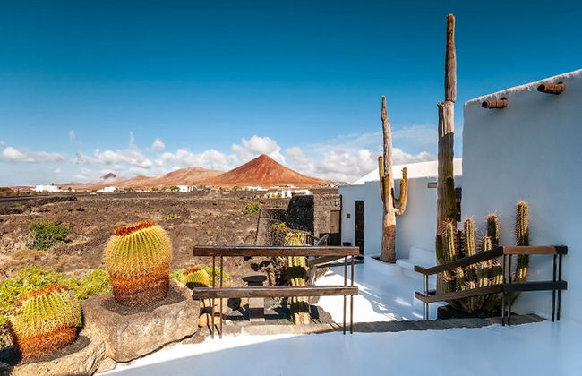 Tour César Manrique: Cueva de los Verdes, Giardino dei Cactus e Fondazione César Manrique - Foto 1