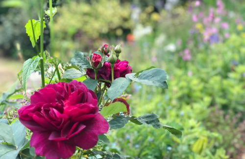 The Patio Flat - Foto 33