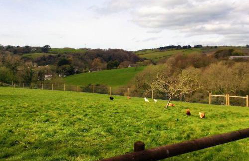 Bosvean Cottage - Foto 22