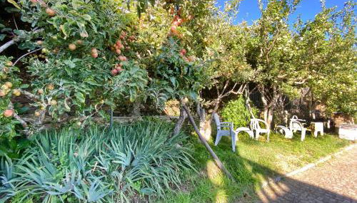 Casa da Risca - Foto 5