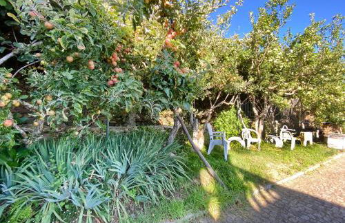 Casa da Risca - Foto 5