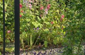 Ferienhaus Helge an der Schoritzer Wiek - Foto 18