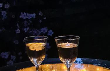 Ferienwohnung Haloi - Foto 22