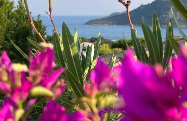 Villa LILY BAY baie de Santa Giulia-Porto Vecchio - Foto 32
