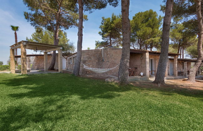 Tenuta Terenzano - Photo 29