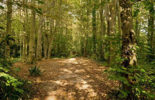 Stone's throw from beach and forest, stunning country walks - Foto 40