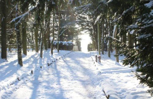 The Hive - beautiful studio with amazing hot tub - Foto 17