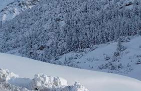 Nido tra le valli - Foto 23