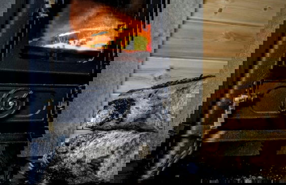 Emlyn's Coppice - Woodland Glamping - Foto 12