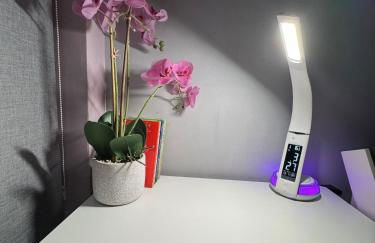 Luxury 2-Bed Apartment,Office with Built-In TV King Bed, Private Entrance and free Parking - Foto 49