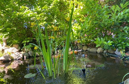 Ferienhaus Maxe - Foto 2