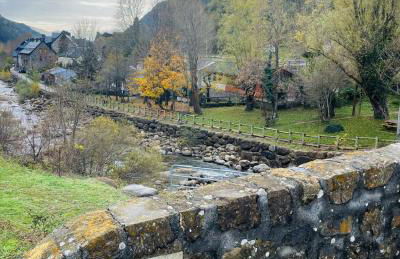 CALMFRANC ático abuhardillado con vistas al río y la montaña Avistamiento de ciervos en Canfranc Pueblo - Foto 42