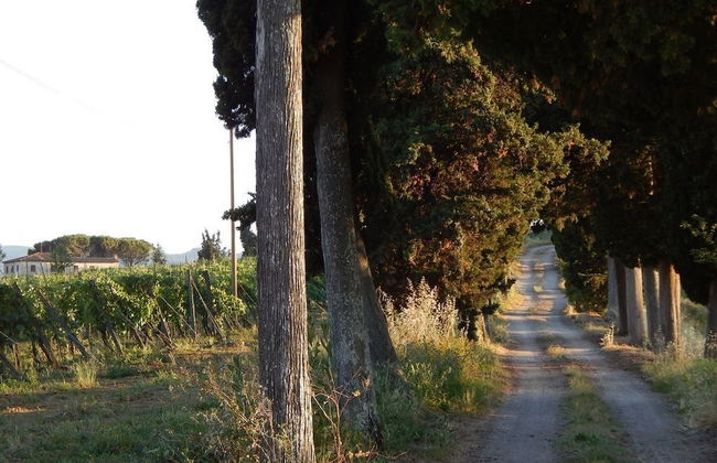 Agriturismo Santo Pietro - Foto 30