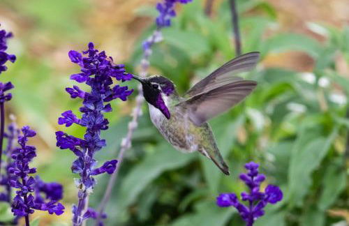 New! Modern • Family Friendly • The Desert Nest - Foto 35