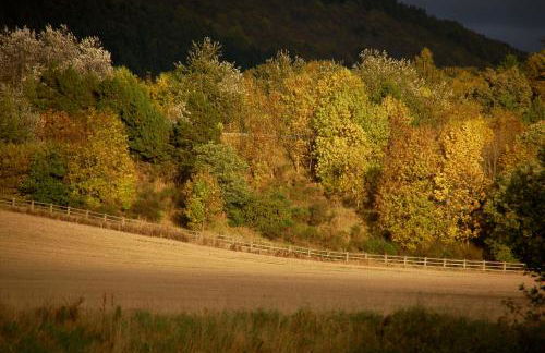 River Edge Lodges - Foto 54