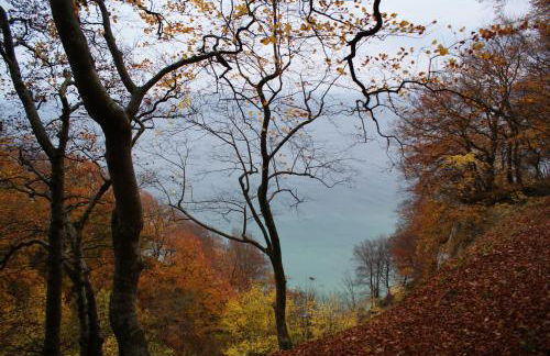 Ferienwohnung Stein - Foto 19