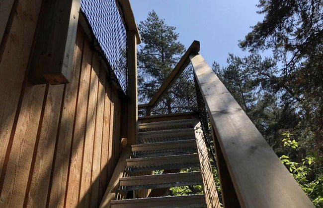 Holiday Home Under the Trees - Photo 25