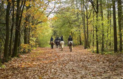 VILLA AM SEE - nähe Berlin - Foto 36