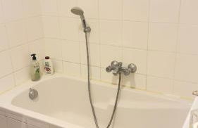 Bartholomé LE MAGNIFIQUE - Foto 19