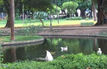 Studio charmoso na Lapa - Foto 29