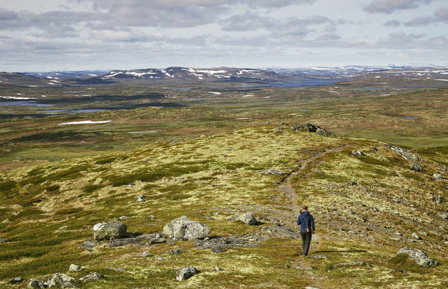 4 bedroom Apartment in Geilo with swimming pool and garden - Photo 21