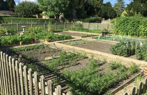 The Red Lion - Shepherd Huts - Photo 16