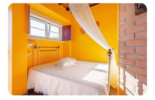 Casa na Floresta - Foto 10