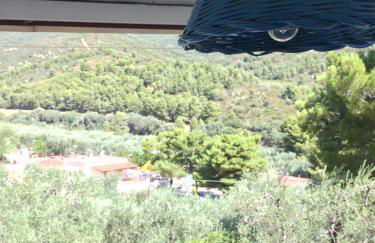 Camping Apartment Vignanotica - Foto 36