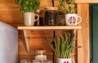 Głuszecki las - Foto 40