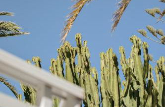 Apart-hotel Acapulco Ocean View - Foto 127
