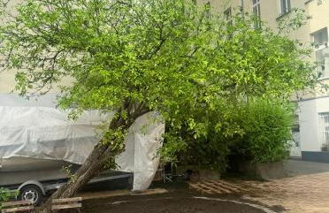 Altbauloft im Herzen Berlins - Foto 55